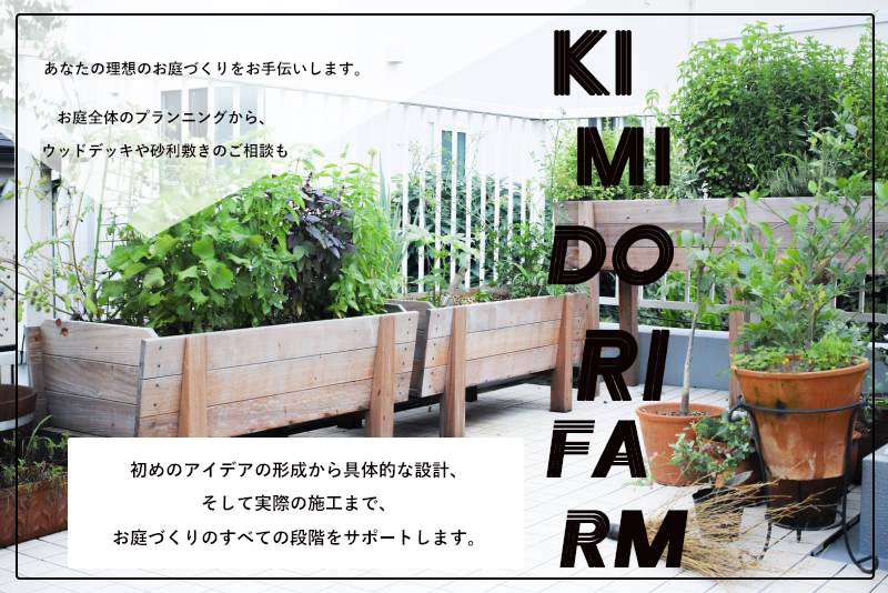 ケーキとドライフラワーの画像